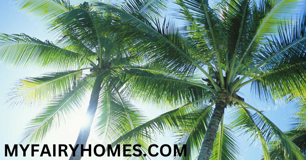 what states have palm trees